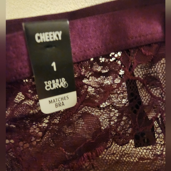 Torrid , cheeky shorts , size 1 - Picture 4 of 4